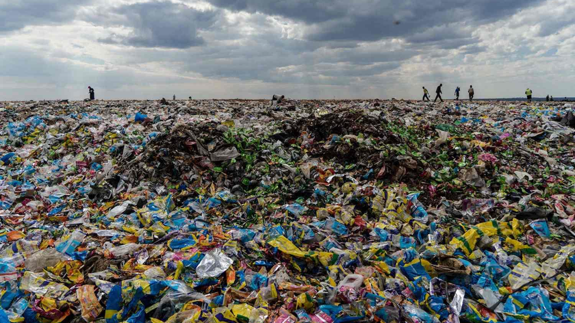 Những người tái chế lùng sục bãi rác Richmond ở Bulawayo, Zimbabwe để tìm vật liệu nhựa. Ảnh: AFP