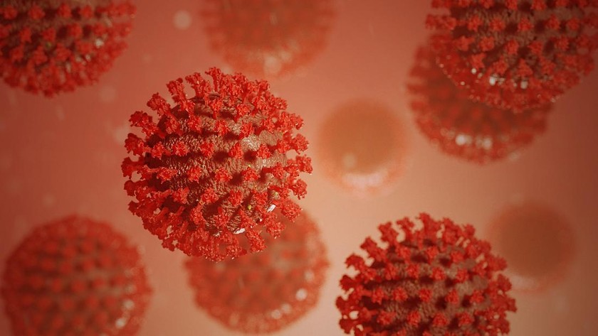 XE là biến thể mới của virus corona mới được phát hiện ở một số quốc gia. Ảnh: Pixabay