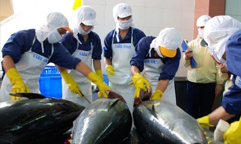 Xuất khẩu cá ngừ trên đường lập đỉnh 1 tỷ USD. Ảnh: VASEP