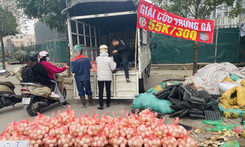 Giải cứu trứng gà 65.000 đồng/30 quả tràn lan vỉa hè Hà Nội