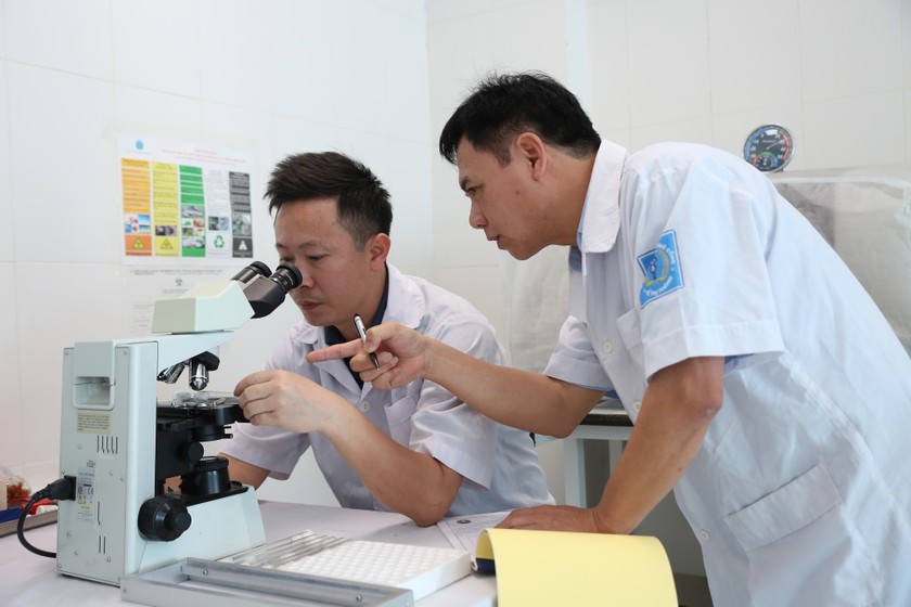 Trung tâm Kiểm soát bệnh tật Hà Tĩnh tiến hành phân tích, xác định côn trùng đốt tại Phúc Thanh, xã Thạch Khê, huyện Thạch Hà.