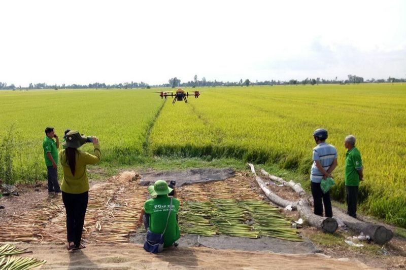 Ứng dụng máy móc công nghệ cao trong phun thuốc trừ sâu cho lúa.