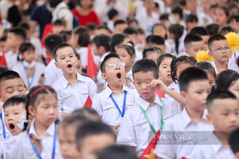 Muôn vàn biểu cảm của các bé lần đầu tới trường (Ảnh: Quốc Việt)