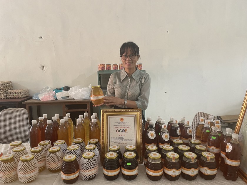 Mô hình đèn “Chắp cánh ước mơ” gắn liền với hình ảnh sản phẩm OCOP mật ong nổi tiếng của địa phương. (Nguồn: HTX dịch vụ NN Kim Sơn