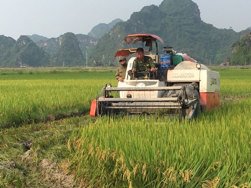 Cơ giới hóa trong sản xuất nông nghiệp Việt Nam. (Ảnh minh họa)