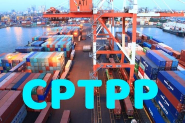 Hàng hóa tân trang nhập khẩu theo Hiệp định CPTPP phải có Giấy phép nhập khẩu theo lô hàng và Giấy phép nhập khẩu có thời hạn. (Ảnh minh họa -Nguồn ảnh: Chinhphu.vn)