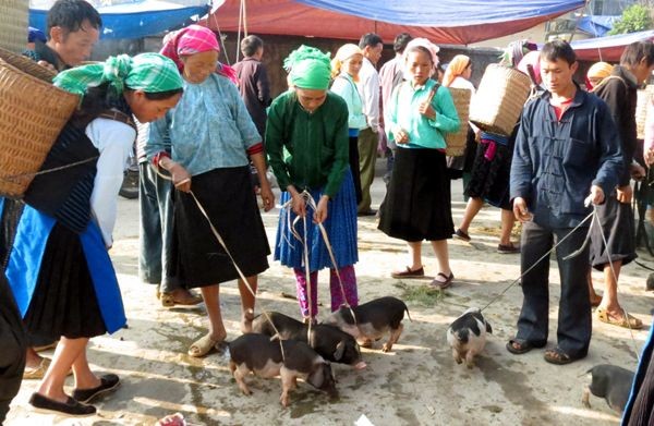 Phụ nữ Mông trong các chợ phiên. (Ảnh minh họa: Internet)