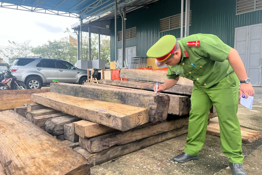 Công an phát hiện và bắt giữ 51 phách gỗ không có hồ sơ lâm sản hợp pháp tại huyện Quảng Điền. 