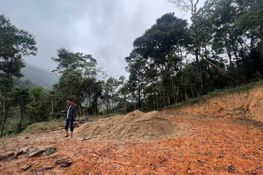 Khoảng rừng bị phá tại lô 10, khoảnh 9, tiểu khu 388, thôn Đắk Chờ, xã Đắk Ring. (Ảnh: Mai Minh