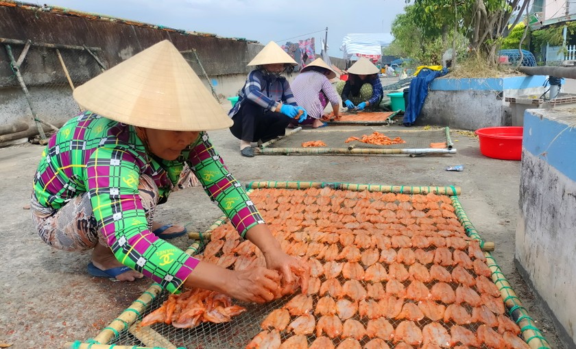 Nghề làm cá khô tại thị trấn Gành Hào phải bảo đảm chất lượng, vệ sinh an toàn thực phẩm, bảo vệ thương hiệu sản phẩm, đồng thời còn giải quyết việc làm cho nhiều lao động tại địa phương.