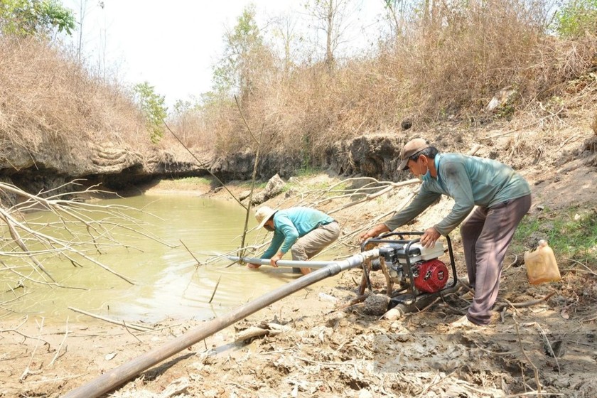 Nông dân Bình Phước tận dụng nguồn nước từ các con suối để tưới cho cây trồng. (Ảnh: Phạm Hoài)