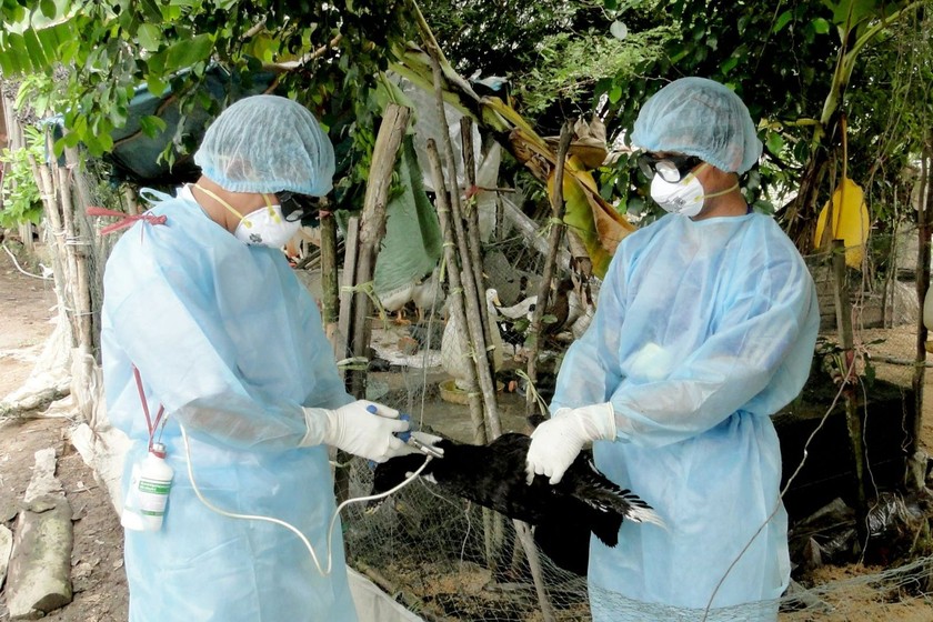 Ngành Y tế Tiền Giang trong hoạt động phòng, chống dịch bệnh từ động vật lây sang người.