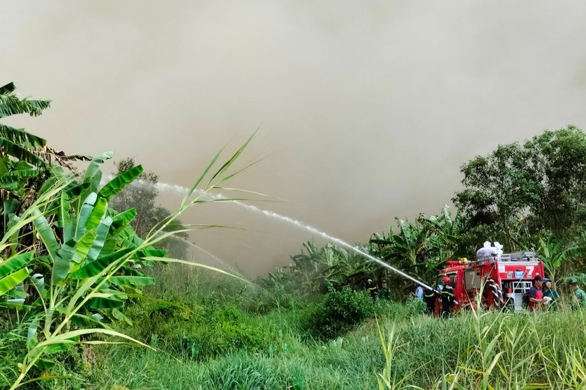 Cháy hàng chục ha rừng tràm tại Cà Mau