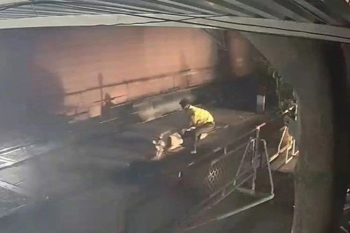 Hình ảnh nhân viên gác chắn tàu kéo người đàn ông thoát chết trong gang tấc. Ảnh cắt từ clip
