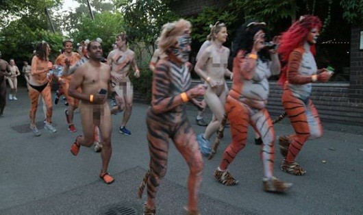 Vì bảo vệ hổ, hàng trăm người khỏa thân chạy dưới đường