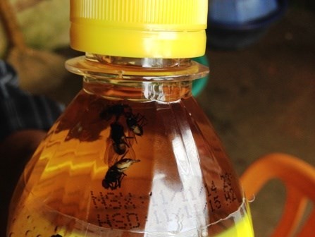Chai nước có chứa 5 con ruồi.