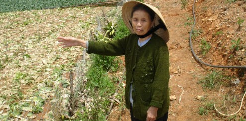 Lâm Đồng: Nỗi oan mất đất của một gia đình nông dân