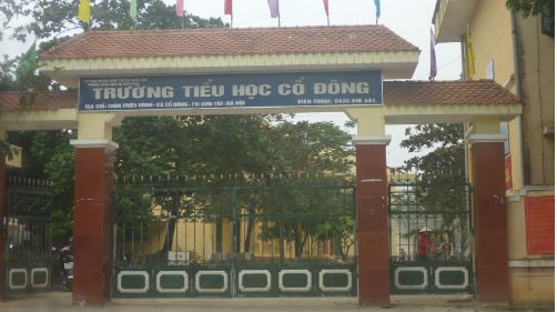 Trường Tiểu học Cổ Đông thị xã Sơn Tây, nơi Hiệu trưởng đang bị tố cáo nhiều sai phạm