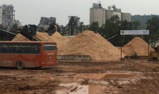 Xưởng gỗ dăm trái phép của Cty Thành Tiến trong khu kinh tế Nghi Sơn