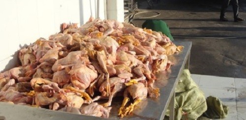 Bắt xe chở 160 kg thịt gà bẩn được tuồn vào TP.HCM