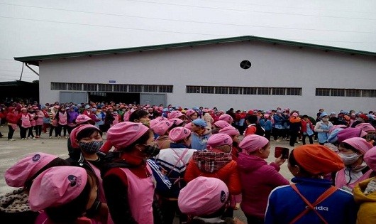 Gần 2000 công nhân đình công tại nhà máy Seshin