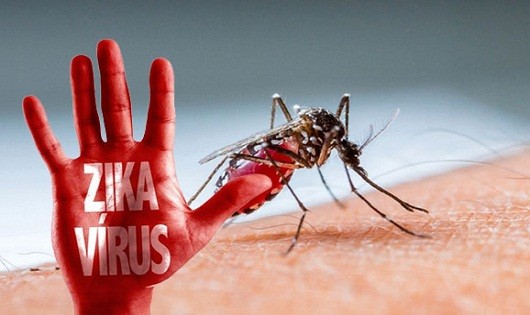 Bộ Y tế chỉ đạo đẩy mạnh công tác phòng chống virus Zika