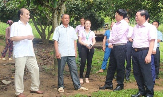 Tổng Giám đốc Dương Quyết Thắng thăm và động viên một số mô hình kinh tế trang trại là hộ đồng bào DTTS ở xã miền núi Tà Cạ đã được NHCSXH đầu tư vốn ưu đãi, nay đã thoát nghèo bền vững
