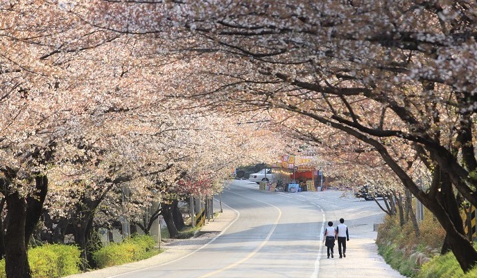 Tổng cục Du lịch Hàn Quốc công bố cuộc thi “Relive Your Korea Trip”