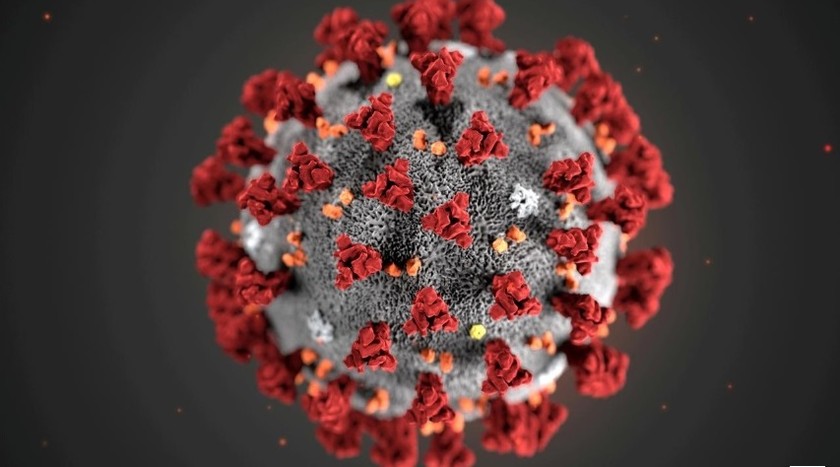 Hình thái siêu tế bào SARS-CoV-2 đã từng xuất hiện trong một minh họa được phát hành bởi Trung tâm Kiểm soát dịch bệnh và Phòng chống dịch bệnh (CDC) tại Atlanta, Georgia, Mỹ ngày 29/1/2020. Ảnh: CDC/ REUTERS.