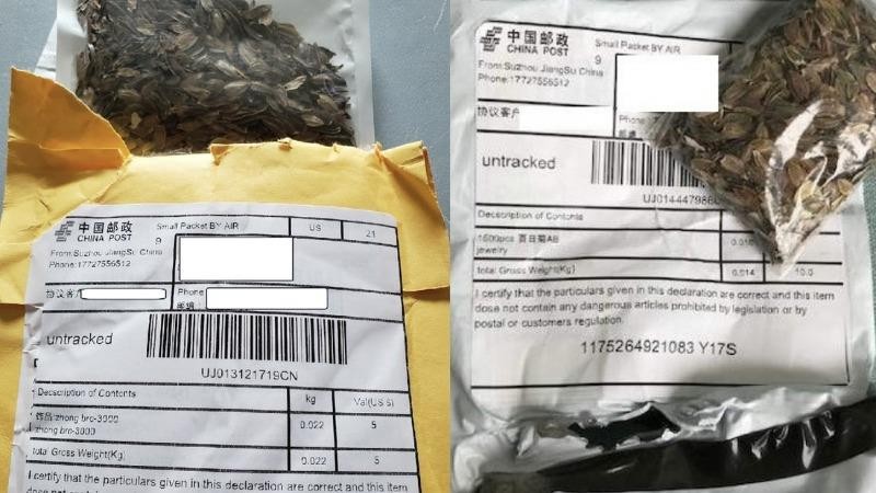 Những gói hạt giống bí ẩn gửi cho nhiều người Mỹ từ Trung Quốc.