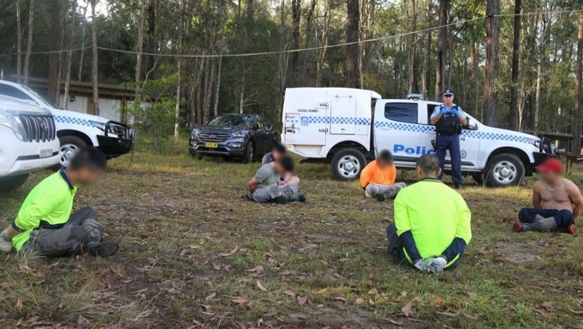 Mười bốn người đàn ông đã bị bắt trong các cuộc đột kích vào tuần trước. (Ảnh: Cảnh sát NSW)