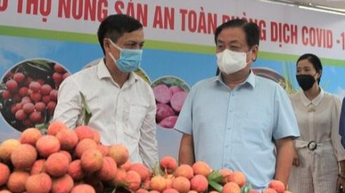 Bộ trưởng Lê Minh Hoan thị sát điểm tiêu thụ nông sản an toàn phòng dịch Covid-19 tại 489, đường Hoàng Quốc Việt, Hà Nội.