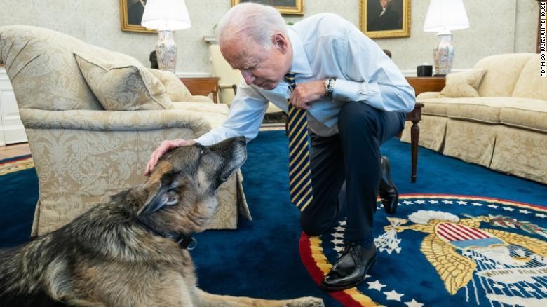 Tổng thống Joe Biden chụp ảnh cùng Champ ở Nhà Trắng tháng 2/2021.