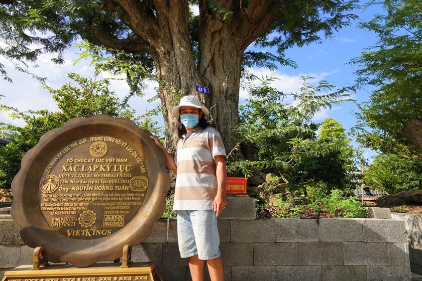 Chiêm ngưỡng bộ sưu tập cây me cổ lớn nhất Việt Nam ở “vương quốc” cây cảnh 