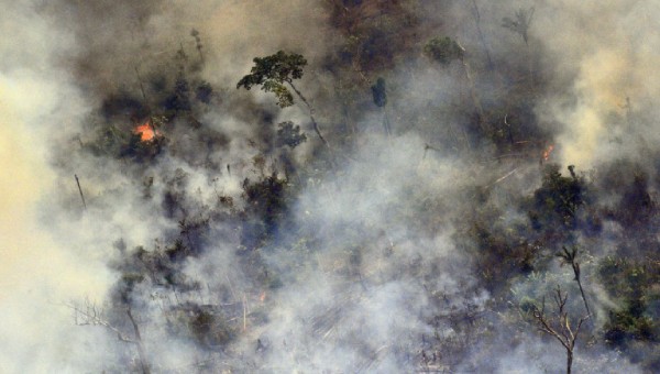 Xuất hiện hàng trăm đám cháy mới ở Amazon