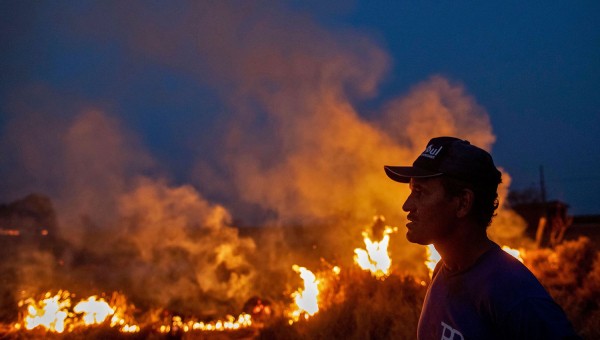 Nhói lòng cảnh Amazon nham nhở hoang tàn trong lửa dữ