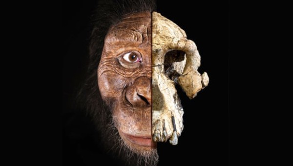 Phát hiện bất ngờ về tổ tiên loài người