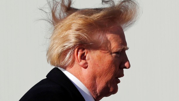 Mái tóc "bờm sư tử" trở thành thương hiệu của Donald Trump.