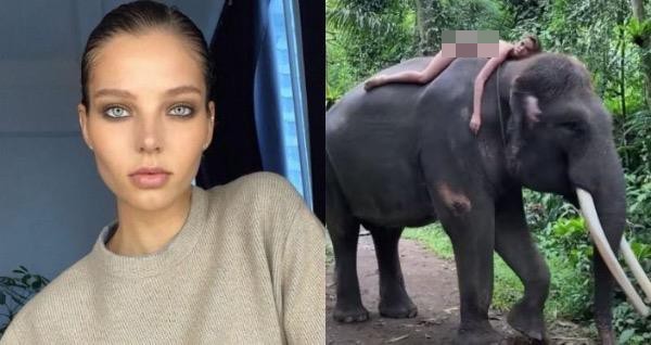 Con voi mà Alesya tạo dáng, chụp ảnh cùng là voi Sumatra, một loài thuộc diện có nguy cơ tuyệt chủng. 