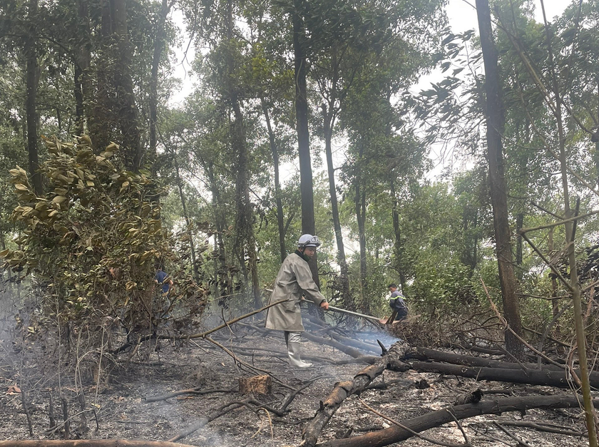  Cháy rừng tại huyện Ba Vì