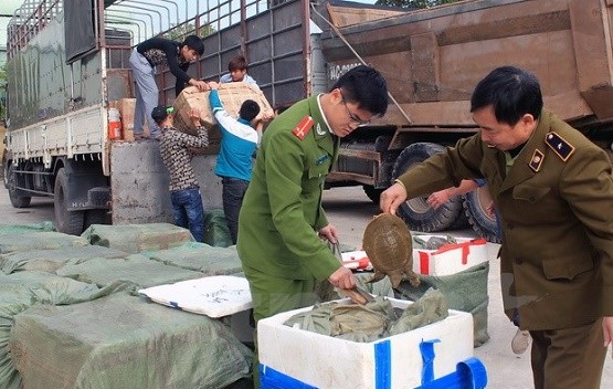 Cảnh sát môi trường Quảng Ninh tuyên chiến với thực phẩm lậu