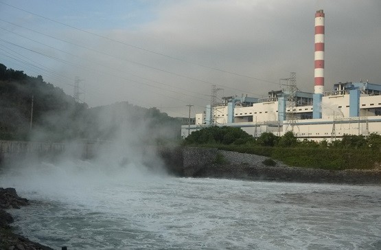 Quảng Ninh: Nhà máy nhiệt điện xả nước làm mát, tôm, cá,...“biến mất” 