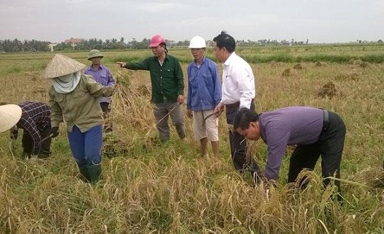 Chủ tịch UBND TP Hải Phòng kiểm tra công tác phòng chống bão số 7 tại huyện Tiên Lãng