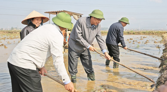 Quảng Ninh: Bí thư Tỉnh ủy làm ruộng cùng nông dân trong ngày khai xuân