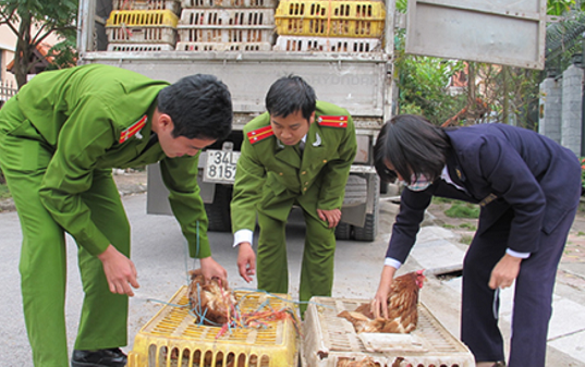 Quảng Ninh: Tăng cường kiểm soát gia cầm, ngăn chặn vi rút cúm A/H7N9