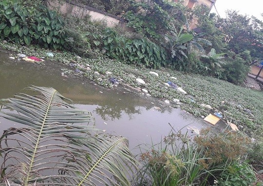 Nguồn nước bị nhiễm bẩn từ rác thải sinh hoạt