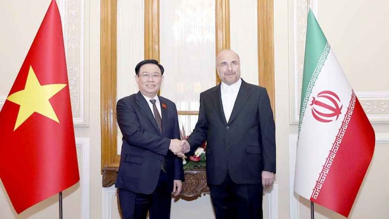 Hai Chủ tịch Quốc hội Việt Nam - Iran. (Ảnh Doãn Tấn)