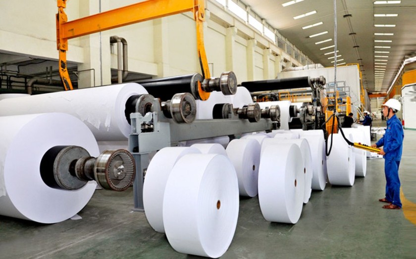Ngành giấy Việt Nam đang lo lắng thiếu nguyên liệu sản xuất vì bị dừng nhập khẩu phế liệu giấy