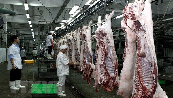 Phải kiểm soát được giá lợn tại lò mổ mới bình ổn được giá thịt lợn.