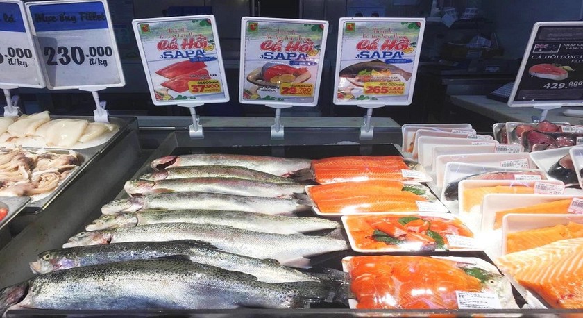 Cá hồi tươi nguyên con được bày bán ở hệ thống siêu thị Big C.